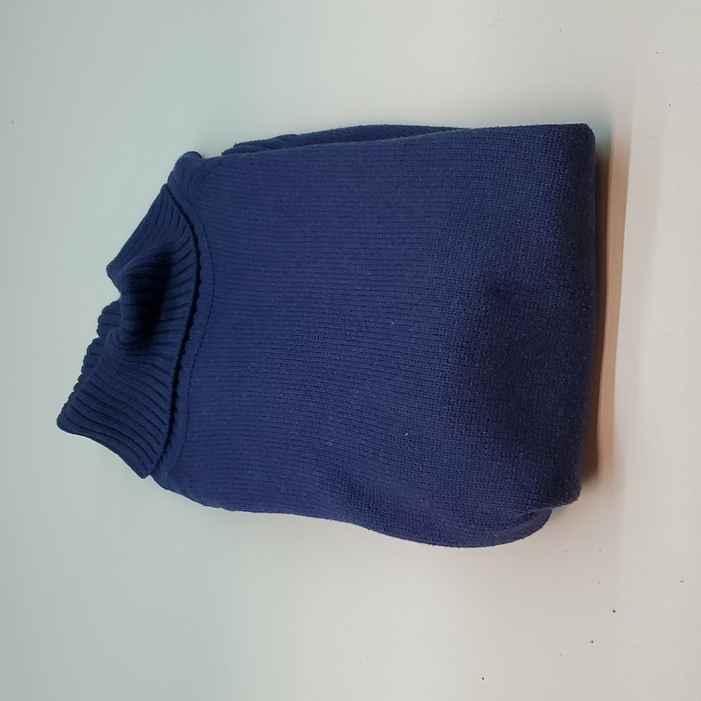 Jeanne Pierre Turtle Neck Sweater